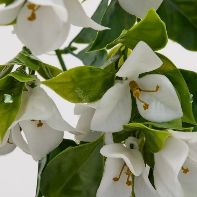 Bouganville bianca artificiale cascante anti UV con foglie verdi, utilizzo interno ed esterno